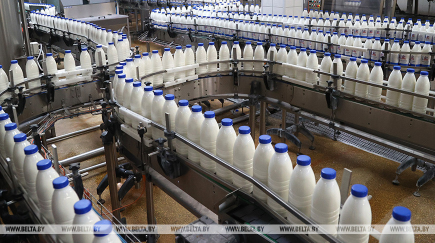 Belarusian commodity exchange concludes first deal to supply milk powder to Syria
